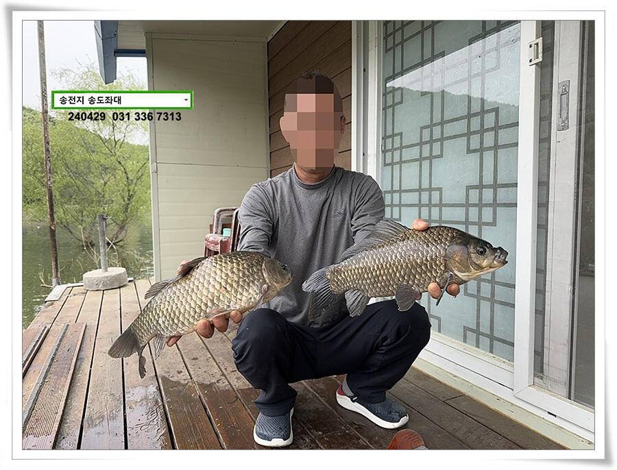 흐린 날에 4짜 (유료터정보 - 유료터점주조황)