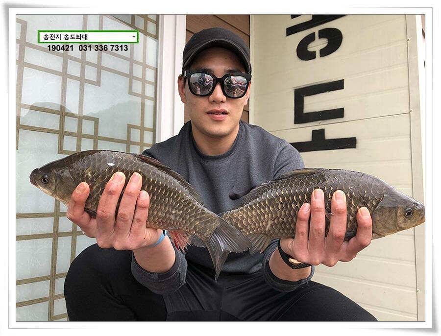 마릿수와 꽝의 차이 (유료터정보 - 유료터점주조황)
