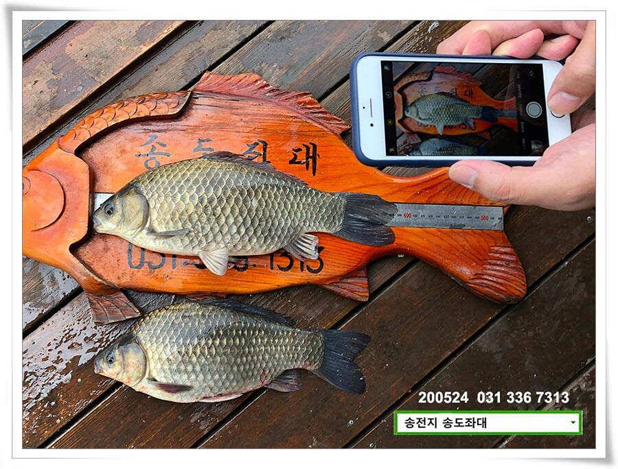 거꾸로 가는 송전지 시계 (유료터정보 - 유료터점주조황)