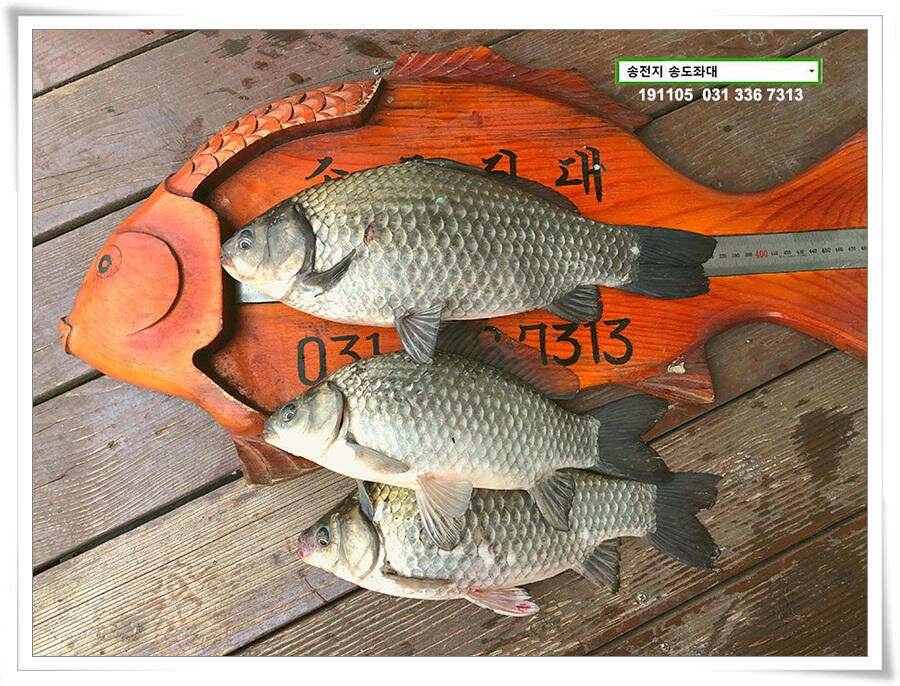 9회말 2사만루 2S 3B (유료터정보 - 유료터점주조황)