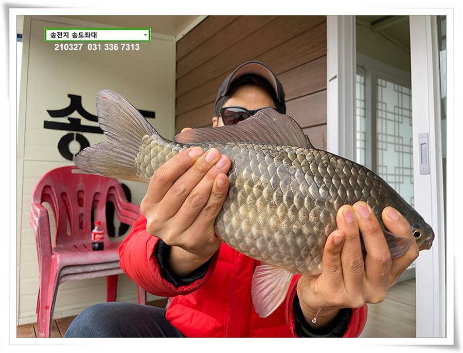 바람과 구름과 4짜 송전지 송도집 좌대 조황 (유료터정보 - 유료터점주조황)