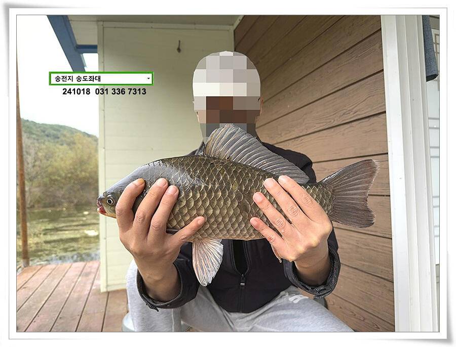 가을비에 수위상승 (유료터정보 - 유료터점주조황)