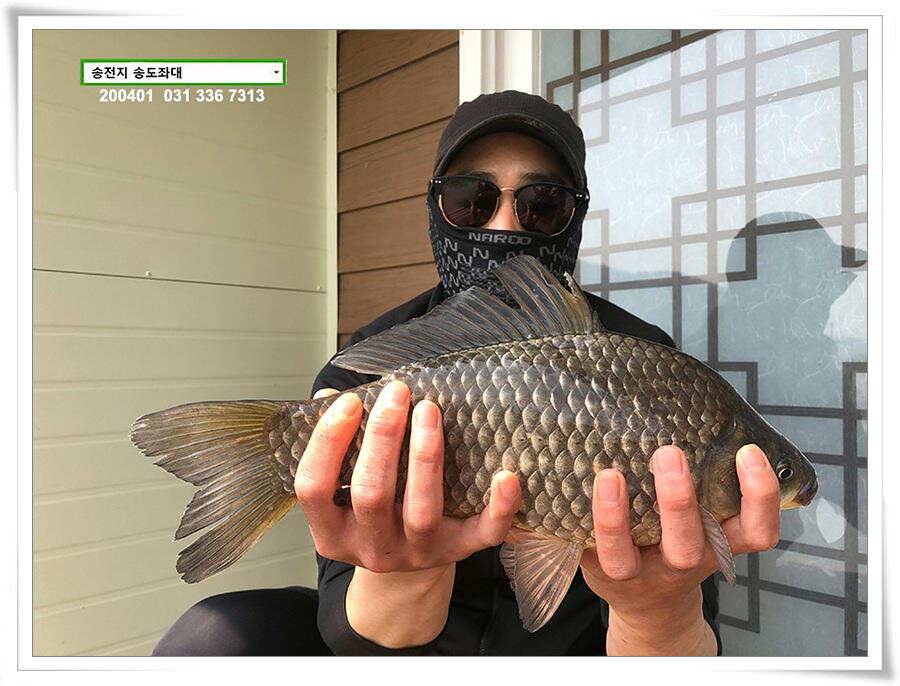 송전지 송도좌대 조황 (유료터정보 - 유료터점주조황)