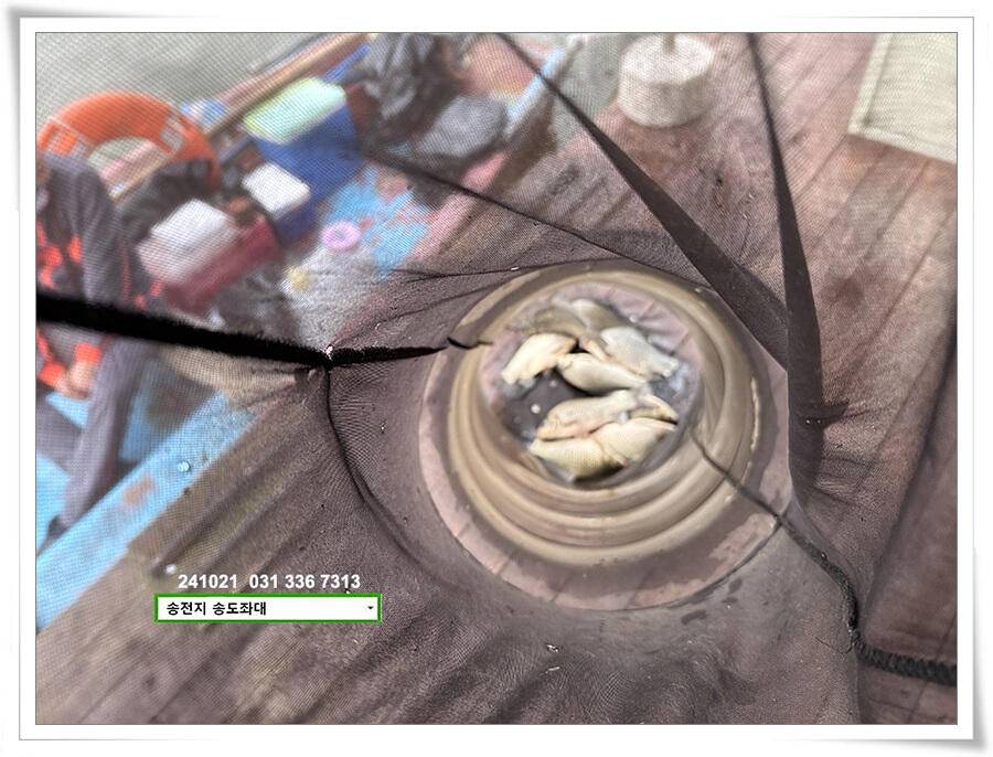 안정된 오름세 (유료터정보 - 유료터점주조황)