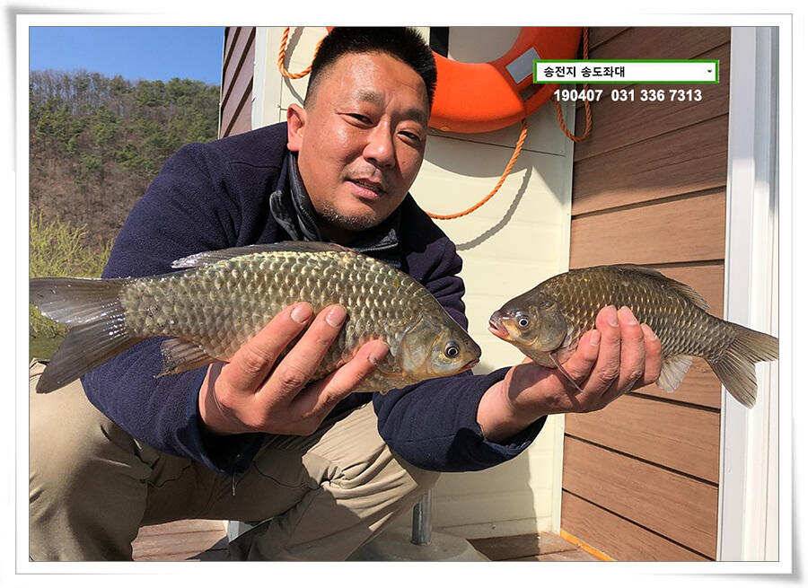 다시 빌드업 나선 송도좌대 조황 (유료터정보 - 유료터점주조황)