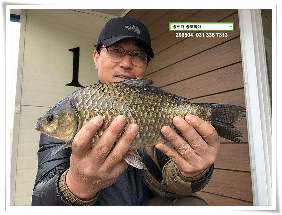 송전지 송도좌대 연휴조황 (유료터정보 - 유료터점주조황)