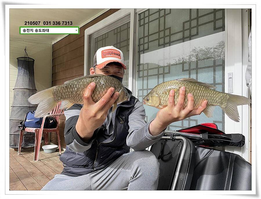 풍파에도 허리급송전지 송도좌대 조황 (유료터정보 - 유료터점주조황)