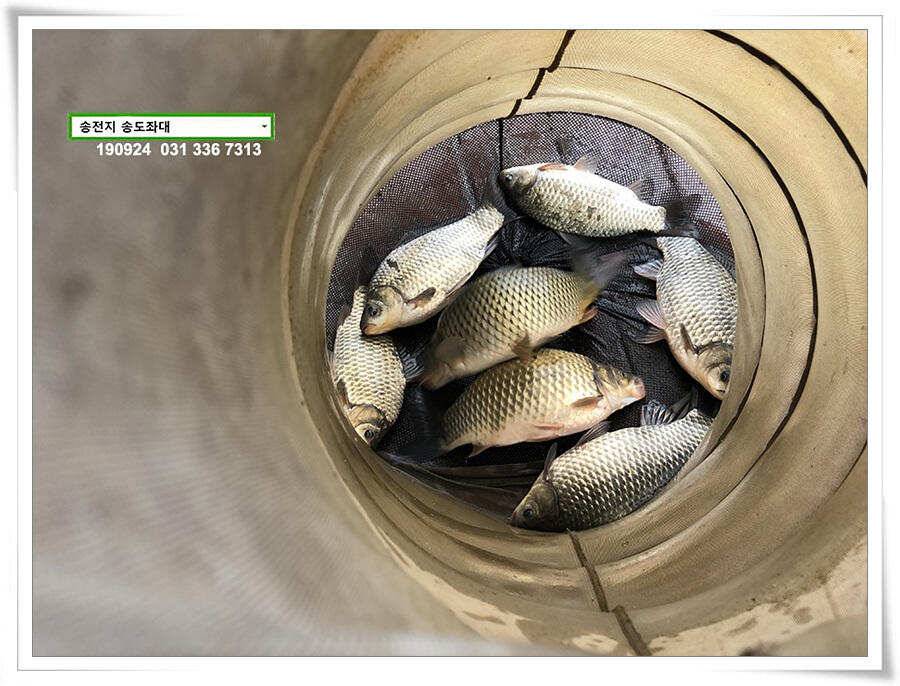 추분 지나는 가을 저수지 (유료터정보 - 유료터점주조황)