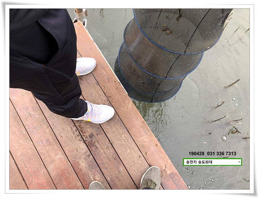 송도좌대 조황 (유료터정보 - 유료터점주조황)