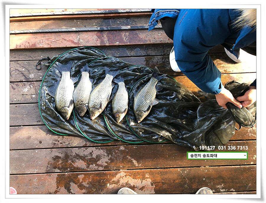 막판 스퍼트 (유료터정보 - 유료터점주조황)