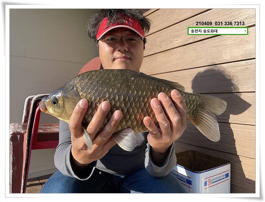 4짜 셋 혹은 둘 송전지 송전낚시터 송도좌대 조황 (유료터정보 - 유료터점주조황)