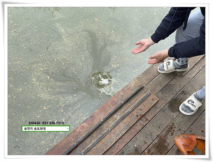 4월 마지막 4짜 (유료터정보 - 유료터점주조황)