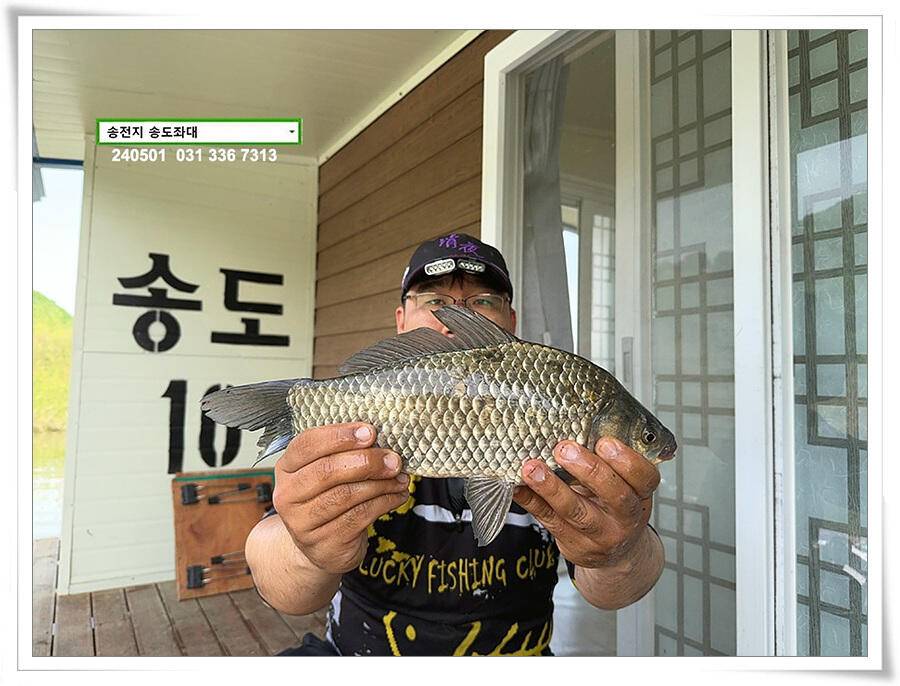 계절의 여왕 5월 첫 덩어리 (유료터정보 - 유료터점주조황)