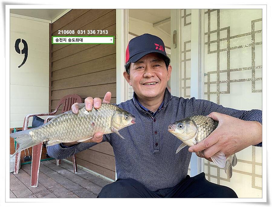 송전지 송전낚시터 송도좌대 조황 (유료터정보 - 유료터점주조황)