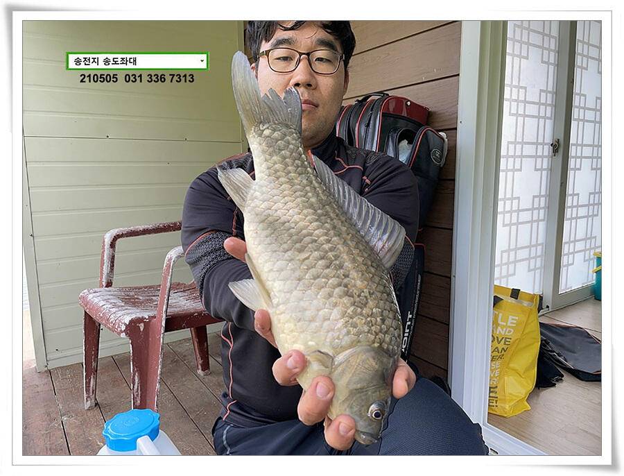 어른이 날 4짜송전지 송도집 좌대 조황 (유료터정보 - 유료터점주조황)