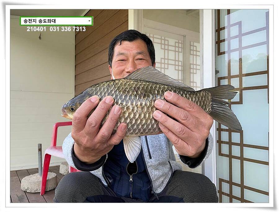 4짜 잼 꿀 잼 용인송전지 송도좌대 조황 (유료터정보 - 유료터점주조황)