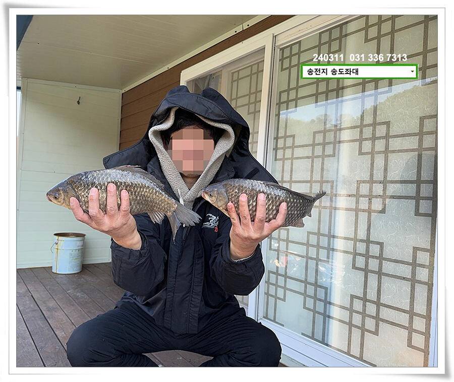 봄 볕에 허리급 (유료터정보 - 유료터점주조황)