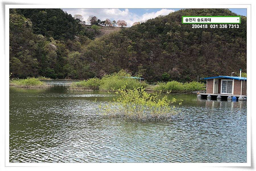 송전지 송전낚시터 송도좌대 조황 (유료터정보 - 유료터점주조황)
