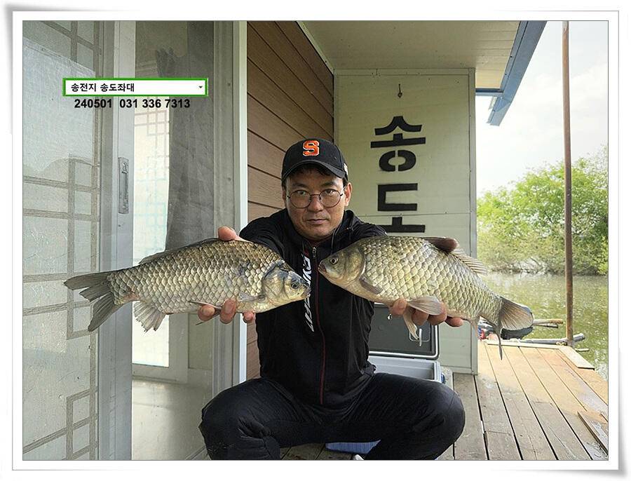 계절의 여왕 5월 첫 덩어리 (유료터정보 - 유료터점주조황)