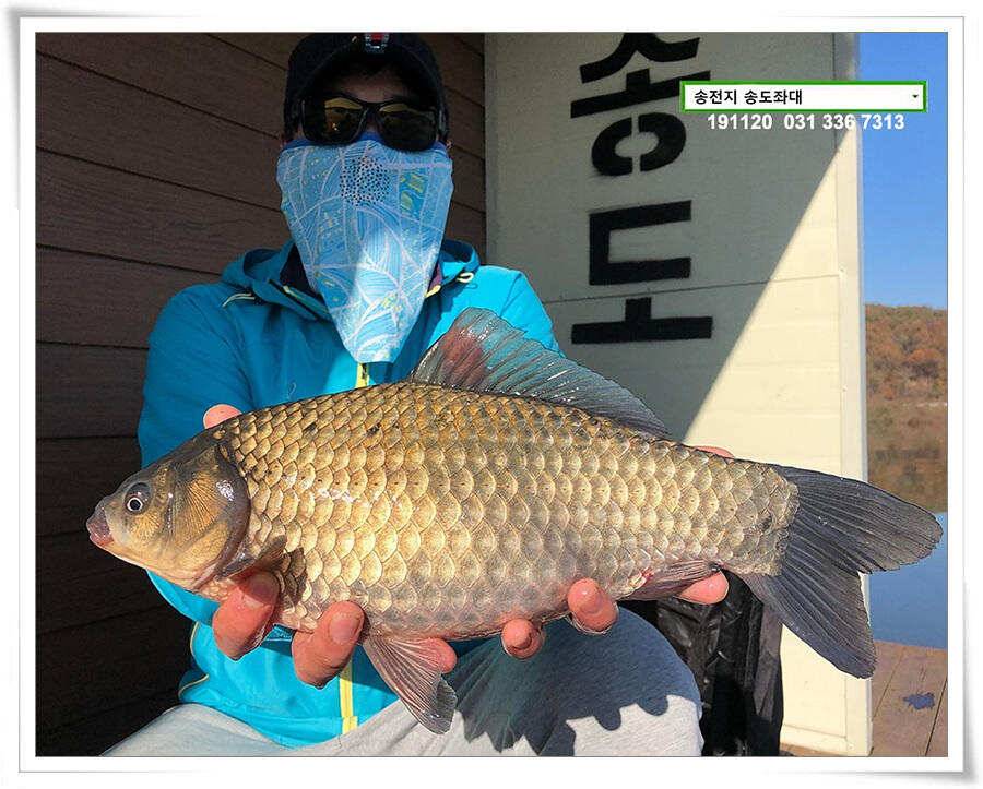 마지막 4짜 (유료터정보 - 유료터점주조황)