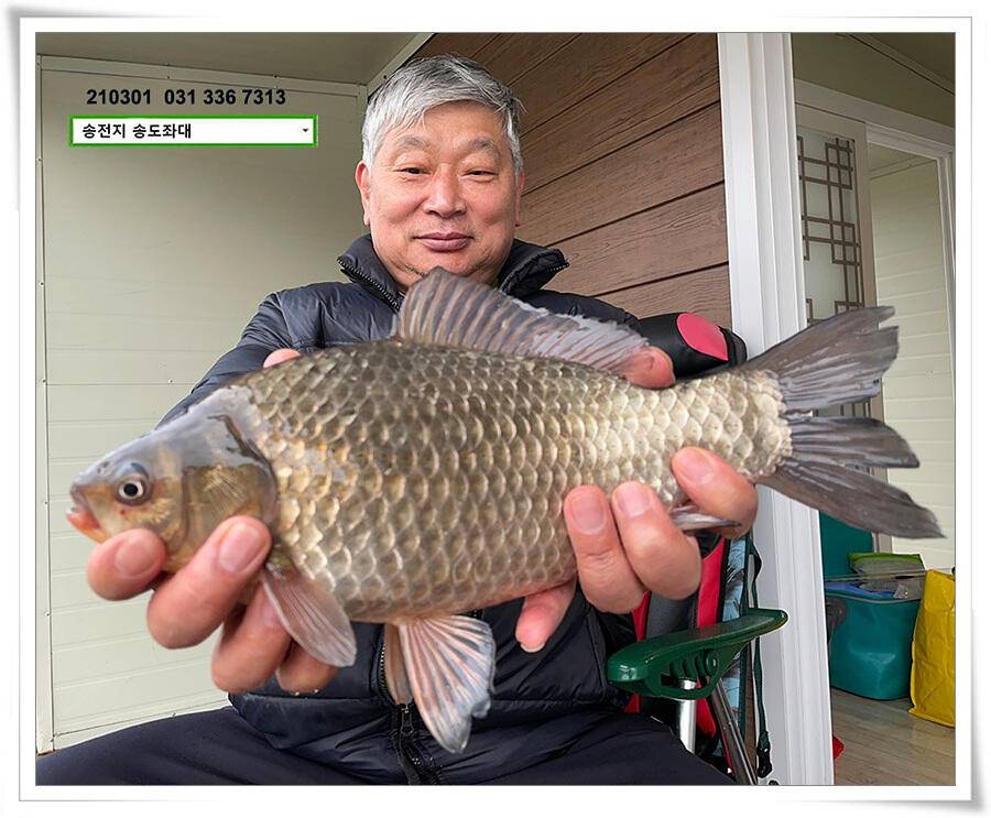 봄 볕 받아내는 송전지 송도좌대 조황 (유료터정보 - 유료터점주조황)