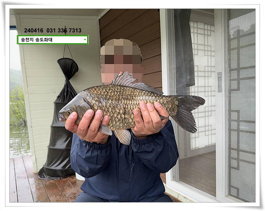 4짜의 산란 (유료터정보 - 유료터점주조황)