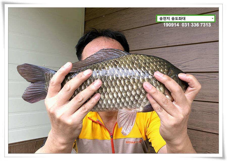 가을 덩어리 낚기 (유료터정보 - 유료터점주조황)