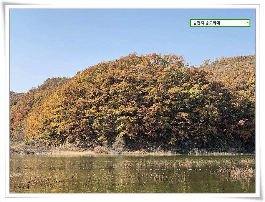 오랜만에 가을비 (유료터정보 - 유료터점주조황)