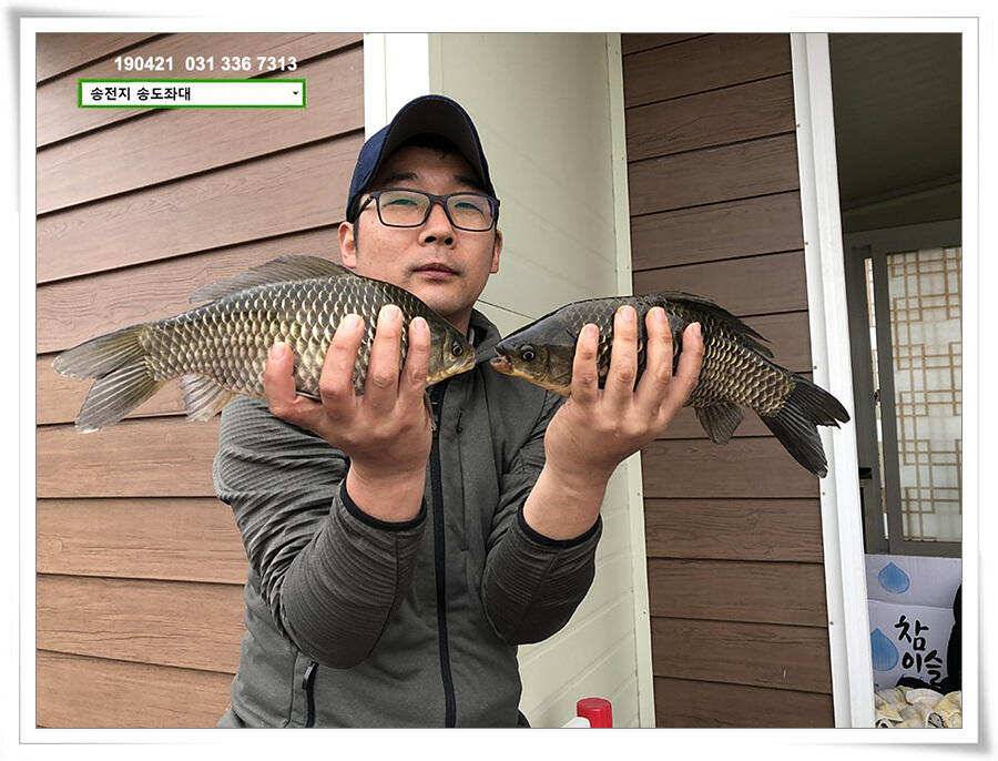 송전지 송도좌대 조황 (유료터정보 - 유료터점주조황)