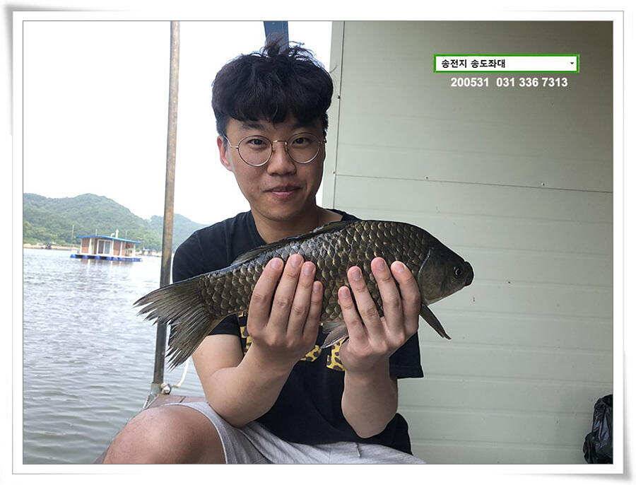 2차 직딩의 난송전지 송도좌대 조황 (유료터정보 - 유료터점주조황)