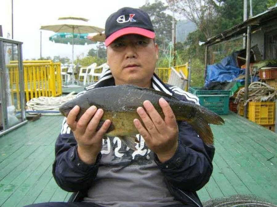 ★ 이것이 월척과 대박이다★ (유료터정보 - 유료터점주조황)