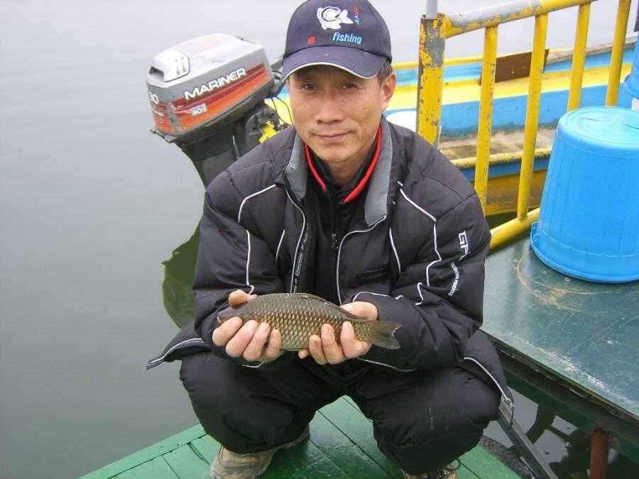 춘천 의암호 광명조황 (유료터정보 - 유료터점주조황)