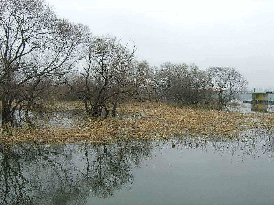 춘천 의암호 광명조황 (유료터정보 - 유료터점주조황)