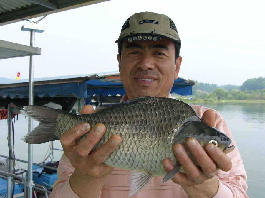 의암호 원일낚시터 (유료터정보 - 유료터점주조황)