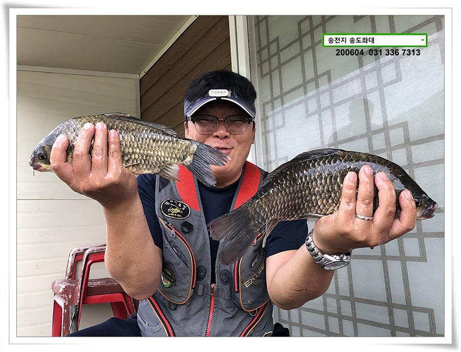 송전지 송도좌대 조황 (유료터정보 - 유료터점주조황)