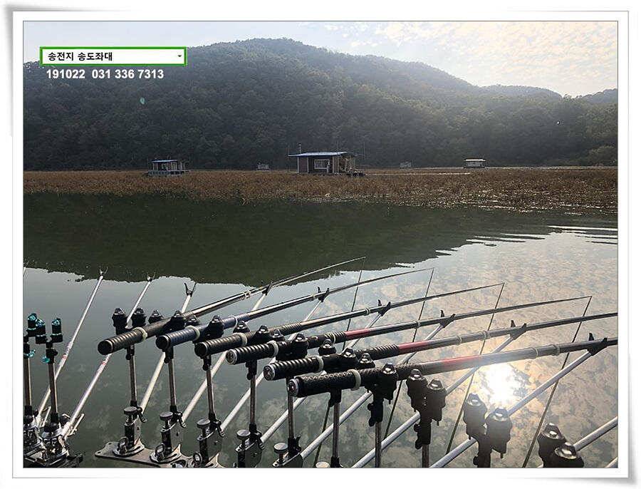 송전지 송전낚시터 송도좌대 조황 (유료터정보 - 유료터점주조황)