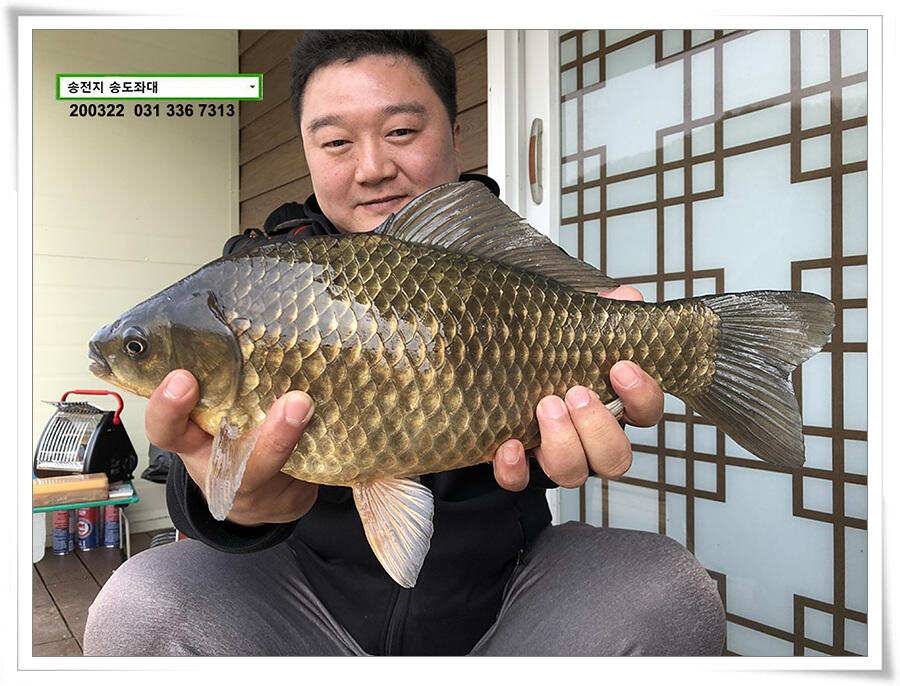 입 벌려 딸기 들어간닷송전지 송도좌대 조황 (유료터정보 - 유료터점주조황)