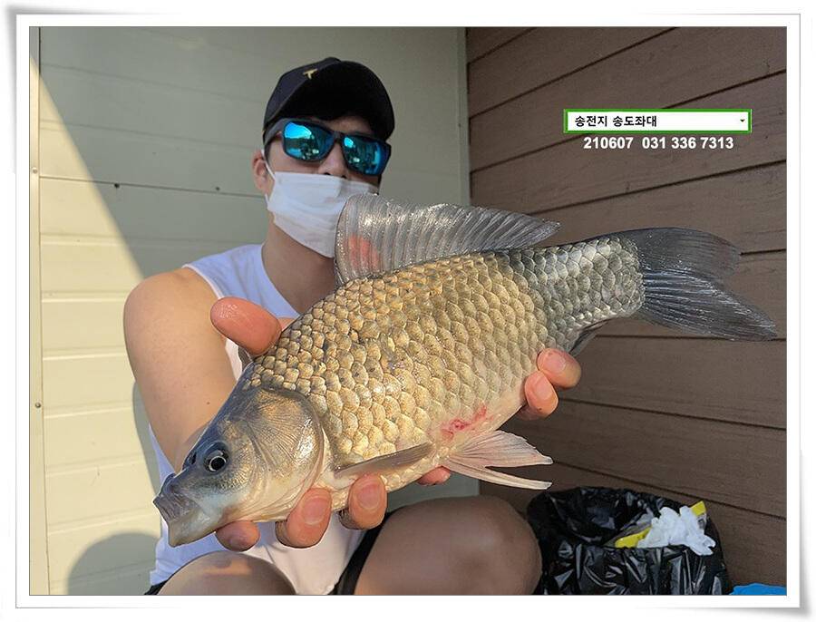 송전지 송전낚시터 송도좌대 조황 (유료터정보 - 유료터점주조황)