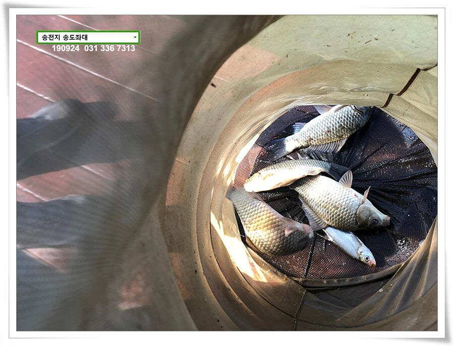 추분 지나는 가을 저수지 (유료터정보 - 유료터점주조황)
