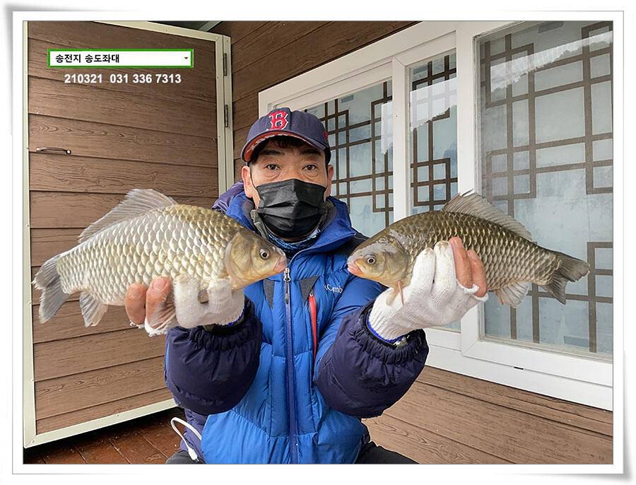 4짜 혹은 마릿수 송전지 송도좌대 조황 (유료터정보 - 유료터점주조황)
