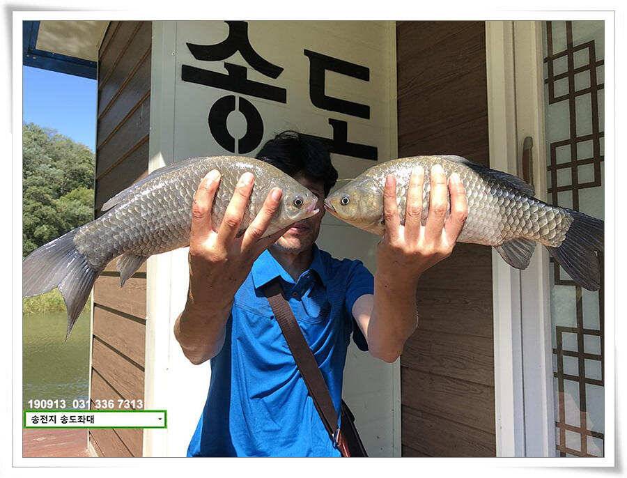 가을 덩어리 낚기 (유료터정보 - 유료터점주조황)