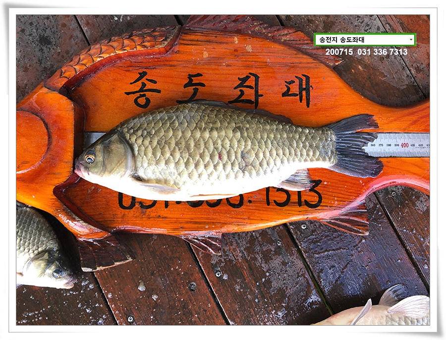 탈압박 (유료터정보 - 유료터점주조황)