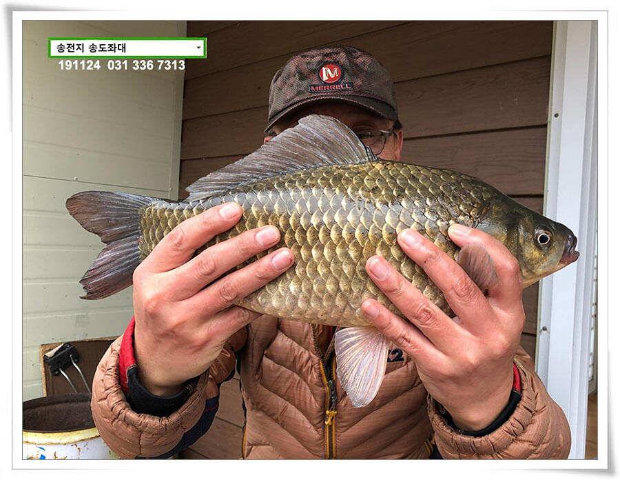 11월의 어느 멋진 날에 (유료터정보 - 유료터점주조황)