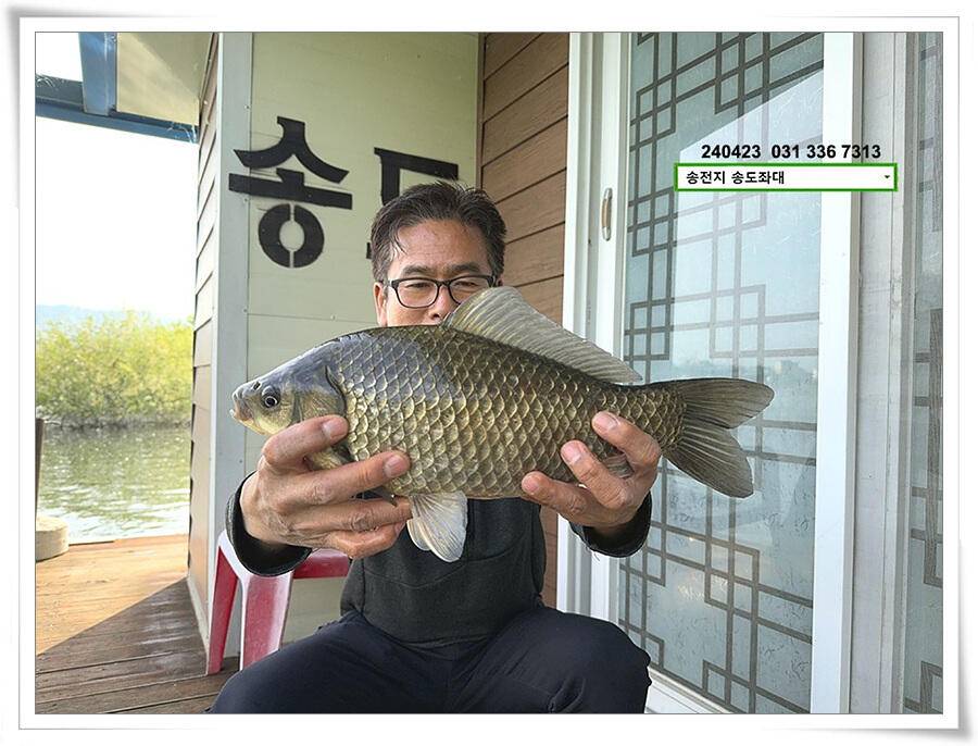 대낮에 한 4짜 (유료터정보 - 유료터점주조황)