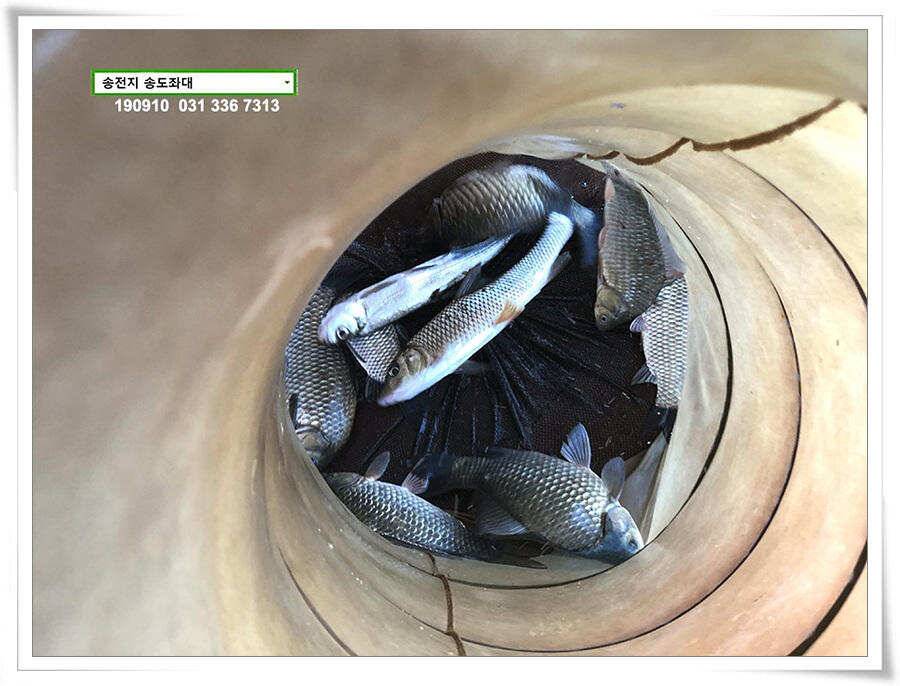 오랜만에 얼굴보기 (유료터정보 - 유료터점주조황)