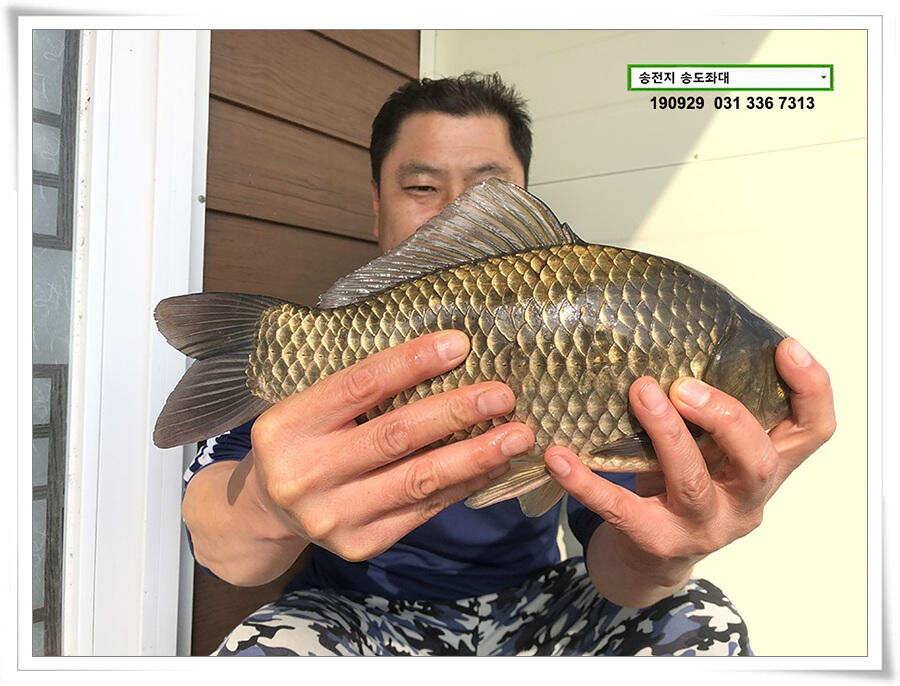 여기 어때 (유료터정보 - 유료터점주조황)