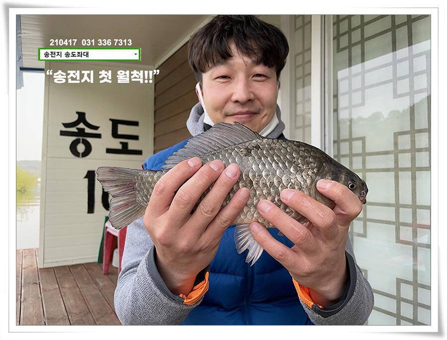 4짜 저격하기송전지 송도좌대 조황 (유료터정보 - 유료터점주조황)
