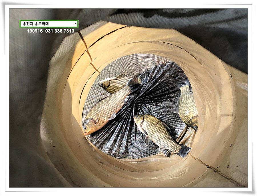 연휴 끝에 가을 볕 (유료터정보 - 유료터점주조황)
