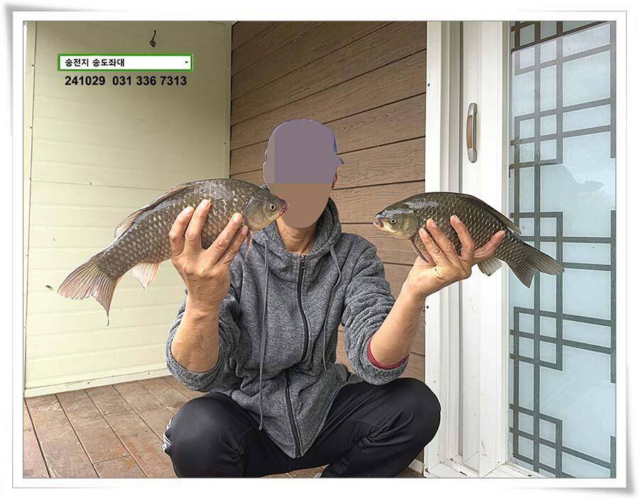 당신이 잠든 사이 (유료터정보 - 유료터점주조황)