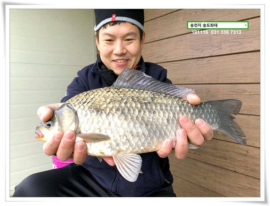 마지막 덩어리 (유료터정보 - 유료터점주조황)